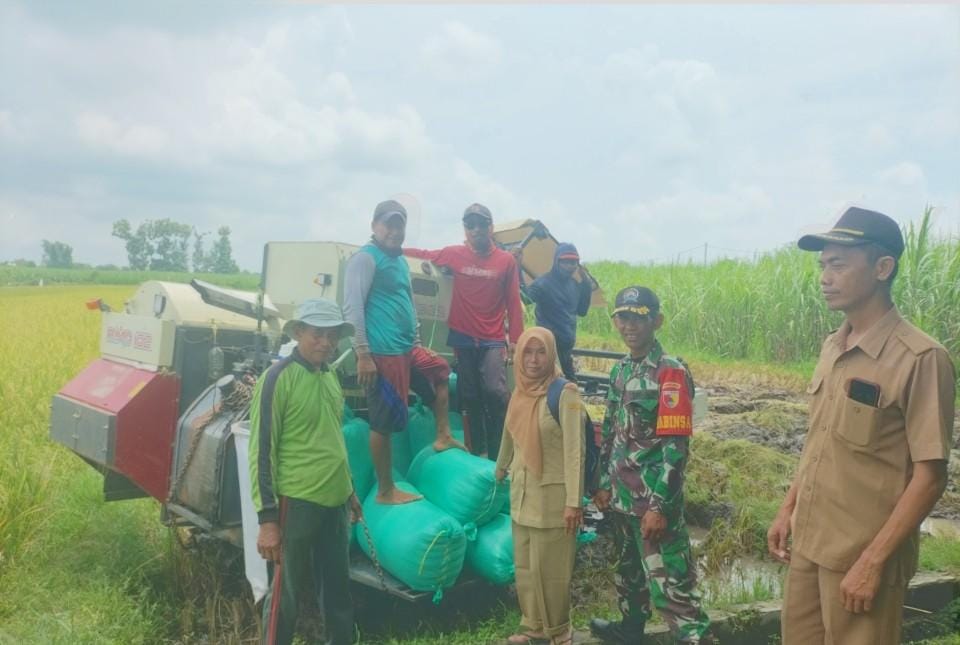 Babinsa Koramil 0804/13 Bendo Dampingi Petugas Bulog Sosialisasikan Penjualan Gabah Ke Bulog