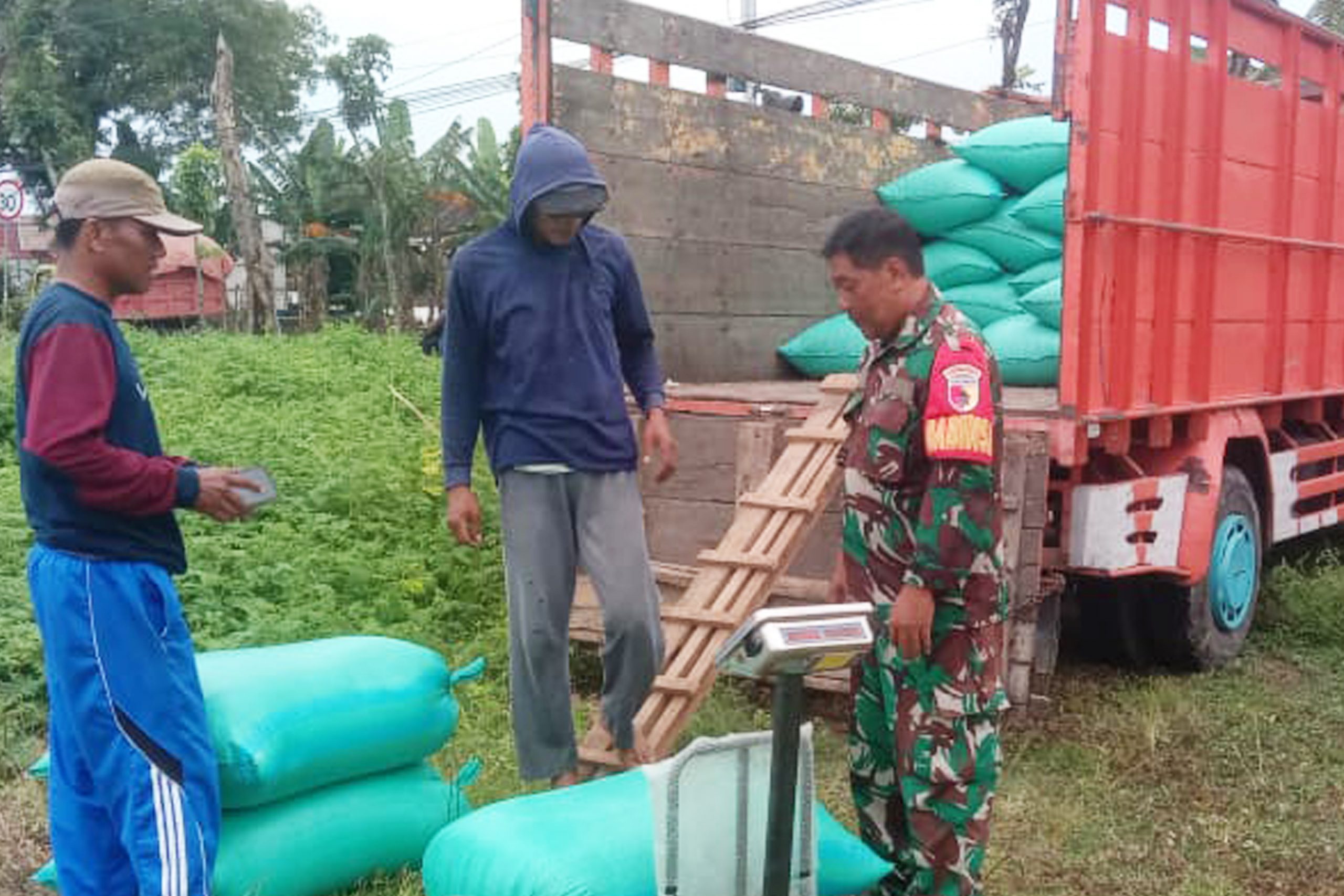 Maksimalkan Sergab Babinsa koramil 0804/07 Karangrejo Bantu Petani