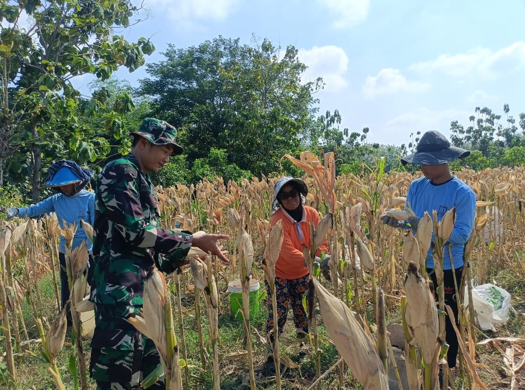 Bagi Serda Prastowo, TMMD Menjadi Pengabdian Terbaik Untuk Masyarakat