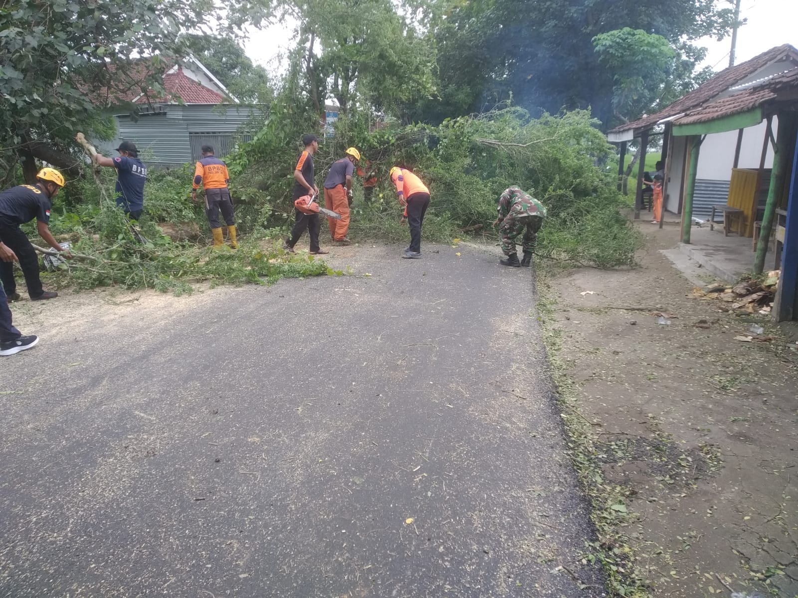 Babinsa Koramil 0804/08 Barat Bersama Petugas BPBD Dan DLH Evakuasi Pohon Tumbang