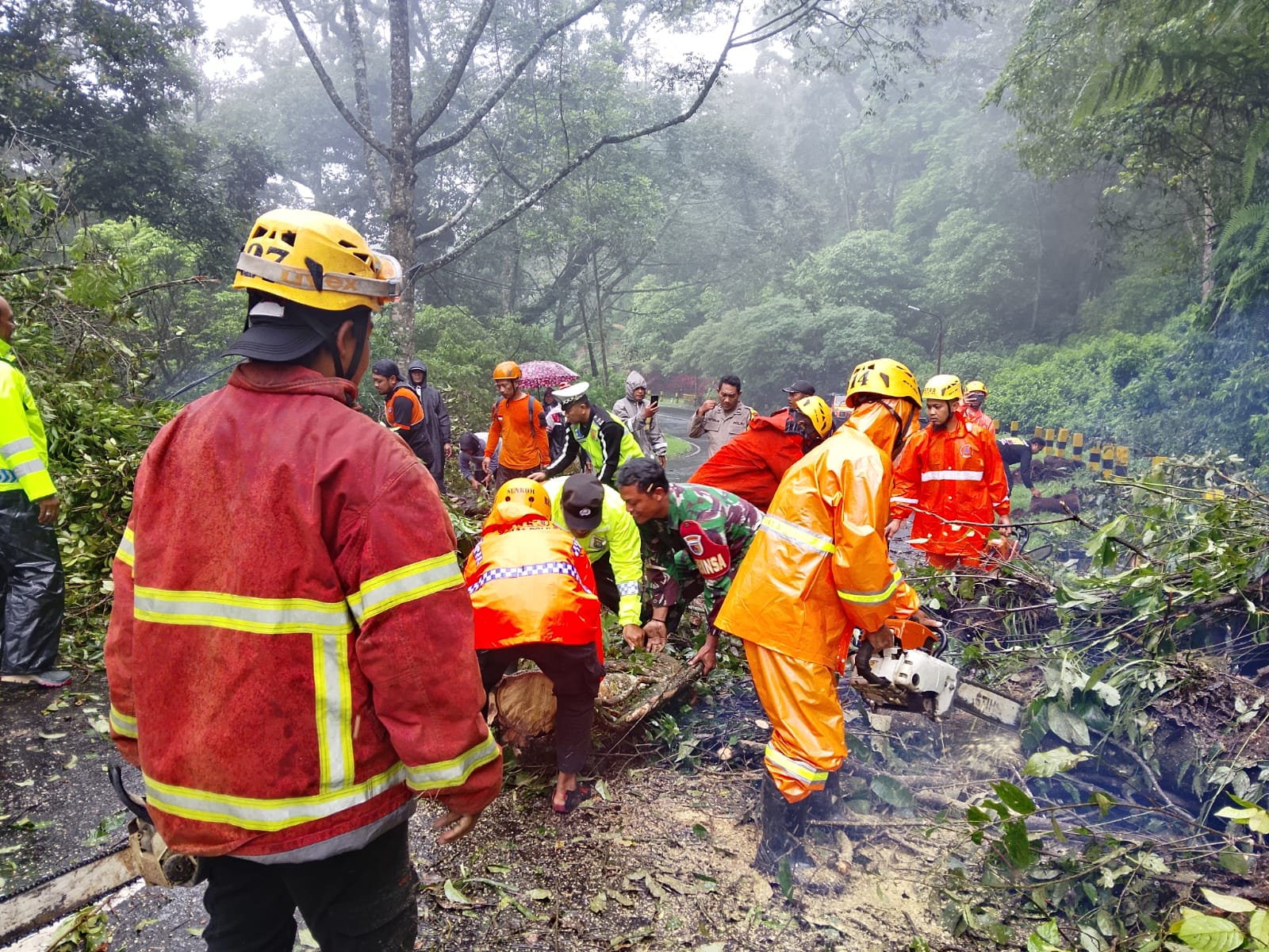 Babinsa Koramil 0804/02 Plaosan Evakuasi Pohon Tumbang Di Jalan Tembus Sarangan-Cemorosewu